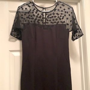 Tahari Black Mesh Polka Dot Dress
